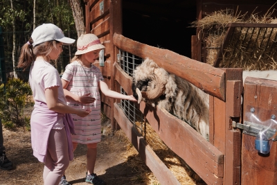 Komentované krmení – Farmapark u Toma
